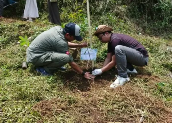 Jejak Kontribusi Karyawan Telkom: Menanam Pohon, Menumbuhkan Harapan