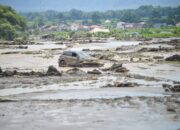 Banjir Bandang dan Galodo Hantam Keras Peternak Sumbar: 4.420 Unggas dan Ratusan Ternak Besar Tewas
