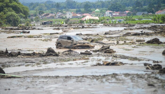 Banjir Bandang dan Galodo Hantam Keras Peternak Sumbar: 4.420 Unggas dan Ratusan Ternak Besar Tewas