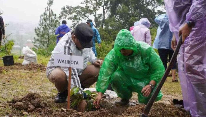Pemko Padang Panjang Tebar Bibit Produktif, Mulai Durian Musang King hingga Alpukat Aligator
