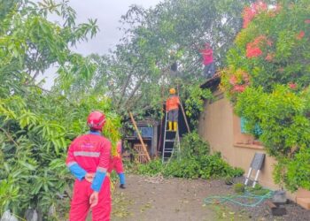 Perkembangan Situasi dan Penanganan Bencana di Tanah Air Tanggal 2 November 2025