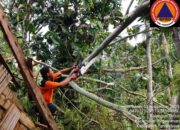 Perkembangan Situasi dan Penanganan Bencana di Tanah Air pada 4 November 2025