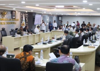 Hadiri Rapat dengan Dewan Perwakilan Daerah, BNPB Paparkan Kondisi Penanganan Bencana