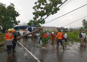 Perkembangan Situasi dan Penanganan Bencana di Tanah Air 7 November 2025