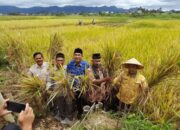 UIN Bukittinggi, KTNA dan Gempita Sumbar Panen Padi Bersama