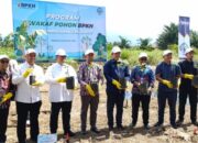BPKH dan Muhammadiyah Kolaborasi Luncurkan Program Wakaf Pohon untuk Penghijauan Sumatera Barat