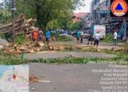 Perkembangan Situasi dan Penanganan Bencana di Tanah Air Tanggal 14 November 2025