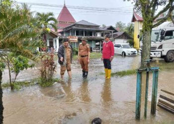 ‎Camat VII Koto Tinjau Titik Lokasi Rawan Bencana di Kecamatan VII Koto