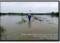Sebanyak 121 Hektare Sawah di Pasbar Terdampak Banjir dan Longsor