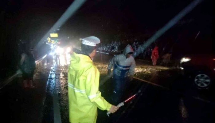 Arus Lalu Lintas di Gerbang Masuk Padang Panjang Kembali Lancar Usai Evakuasi Pohon Tumbang