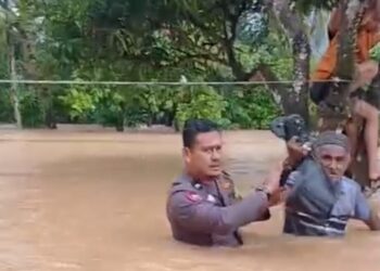 Aipda Afrikonaldi Lakukan Aksi Heroik, Selamatkan Lansia Terjebak Banjir di Koto XI Tarusan