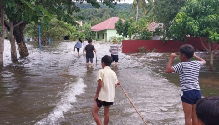 Danau Singkarak Meluap, Fenomena yang Kembali Terjadi Setelah 40 Tahun Terakhir