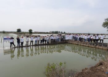  Tanam 10.180 Mangrove, Telin Wujudkan Komitmen Keberlanjutan BATIC 2025