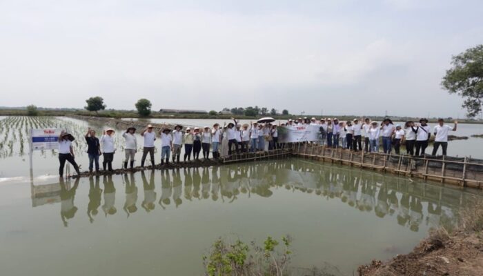  Tanam 10.180 Mangrove, Telin Wujudkan Komitmen Keberlanjutan BATIC 2025