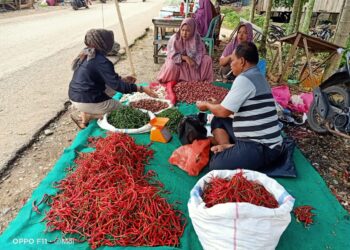 Harga Cabai di Pasar Gunung Medan Dharmasraya Melambung