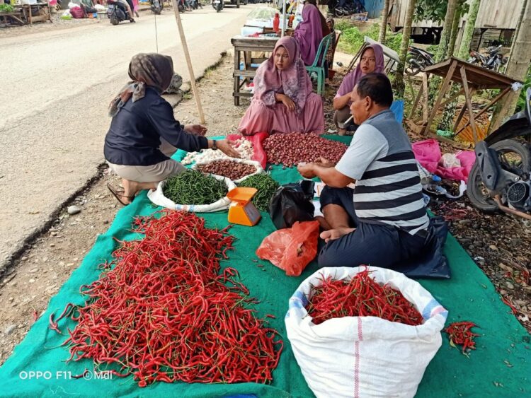 Salah seorang ibu ibu yang sedang belanja sayur di Pasar Gunung Medan. Maryadi