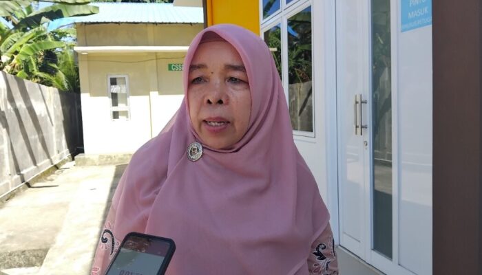 Kasus Campak dan Cacar Air Meningkat, Dinkes Pariaman Imbau Warga Lebih Waspada