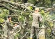 Hujan Lebat Disertai Angin Kencang, Warga Padang Diminta Waspada