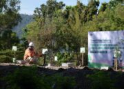 Semarak Sumpah Pemuda, PT Semen Padang dan Ratusan Pelajar Tanam 2.000 Pohon Kaliandra