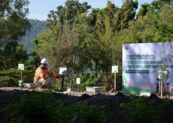 Semarak Sumpah Pemuda, PT Semen Padang dan Ratusan Pelajar Tanam 2.000 Pohon Kaliandra