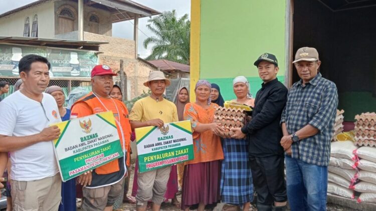 Ketua DPRD Pasaman, Nelfri Asfandi  saat turun langsung meninjau lokasi banjir. IST