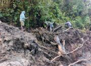 Banjir Longsor Nduga, 15 Korban Hilang Belum Ditemukan