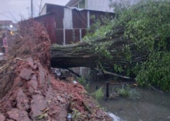 Perkembangan Situasi dan Penanganan Bencana di Indonesia pada 10 November 2025