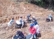 Pemulihan Tak Mungkin Tanpa Status Bencana Nasional, Senator dan Gubernur Sumbar Satu Suara