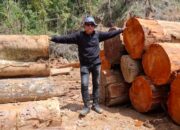 Sosok Pengusaha yang Laporkan Anggota DPRD Pessel Novermal Jadi Tersangka Pembalakan