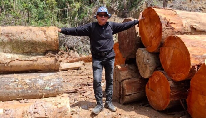 Sosok Pengusaha yang Laporkan Anggota DPRD Pessel Novermal Jadi Tersangka Pembalakan