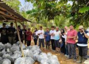 Bantuan untuk Kelompok Budidaya Ikan Diserahkan, Dukung Kemandirian Pangan Dharmasraya