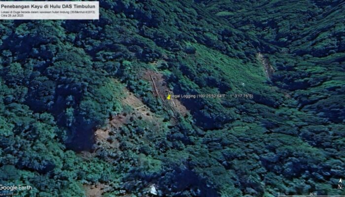 Hulu DAS Timbulun Dibabat, WALHI Sumbar Peringatkan Bungus Diintai Galodo