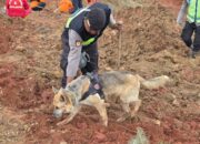 Situasi Terkini di Posko DVI Polda Sumbar, 228 Korban Tewas, Proses Identifikasi Berlanjut