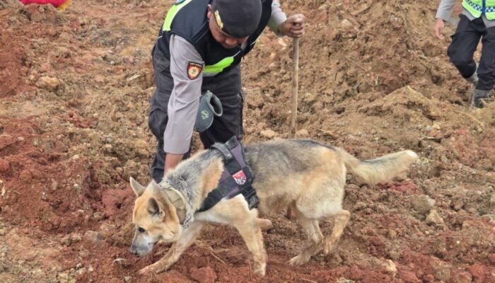 Situasi Terkini di Posko DVI Polda Sumbar, 228 Korban Tewas, Proses Identifikasi Berlanjut