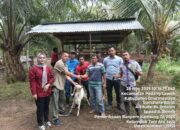 16 KUB Terima Bantuan Peternakan Senilai Rp 1,38 Miliar dari Pemkab Dharmasraya