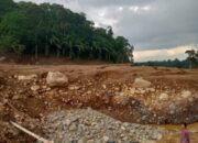 Terisolasi Pasca Galodo, 14 KK Padang Landua Hanya Bertumpu pada Jembatan Pohon