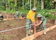 BNPB Percepat Pembangunan Huntara Warga Terdampak Banjir Bandang dan Longsor di Kecamatan Palembayan