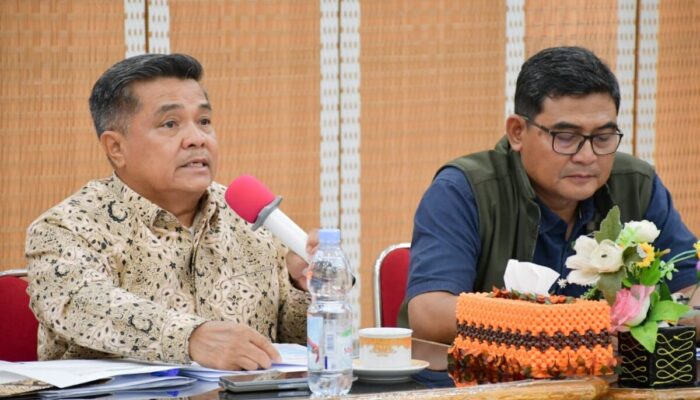 BNPB Minta Pemda Segera Susun R3P