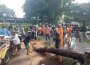 Perkembangan Situasi dan Penanganan Bencana di Indonesia pada 27 Desember 2025