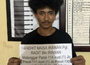 Polres Dharmasraya Bongkar Peredaran Narkoba, Pemuda Simpan Paket Besar Ganja