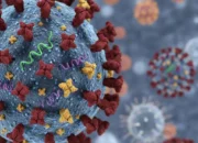 62 Kasus ‘Super Flu’ Subclade K Ditemukan di Indonesia