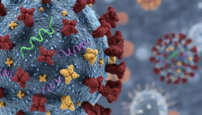 62 Kasus ‘Super Flu’ Subclade K Ditemukan di Indonesia