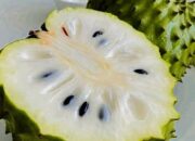 Manfaat Buah Sirsak untuk Kesehatan