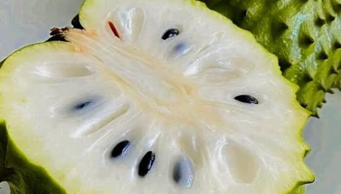 Manfaat Buah Sirsak untuk Kesehatan