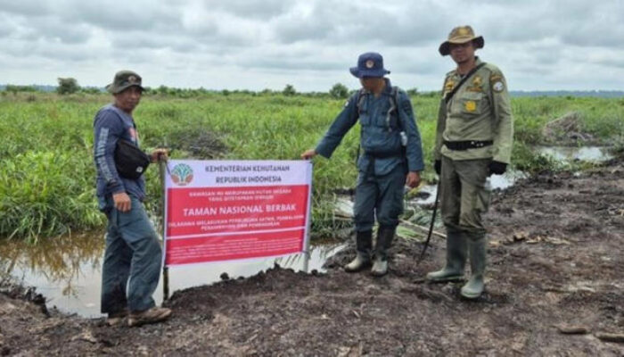 Penertiban Tambang dan Sawit Ilegal Diproyeksikan Tambah Rp142 T Penerimaan Negara