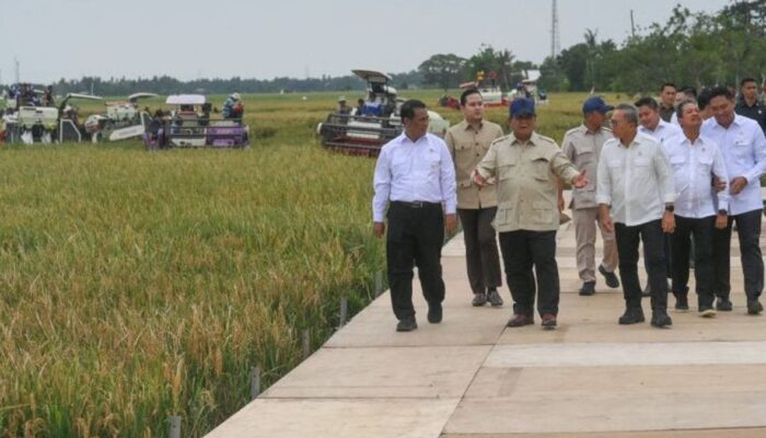 Indonesia Berhasil Capai Swasembada Pangan Lebih Cepat dari Target