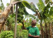 Reforma Agraria ubah Pola Pikir Warga Desa Baumata Kabupaten Kupang