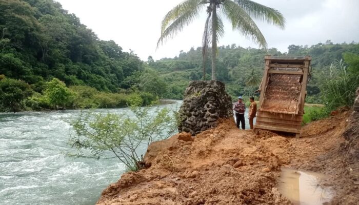 Pemkab Tertibkan PETI di Tanah Datar