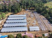 Pembangunan Hunian Wilayah Sumut Pascabencana Capai 800 Unit