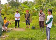 Harimau Terkam Sapi di Lubuk Betung Pessel, Warga Dilanda Kecemasan